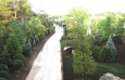 Show Garden 10